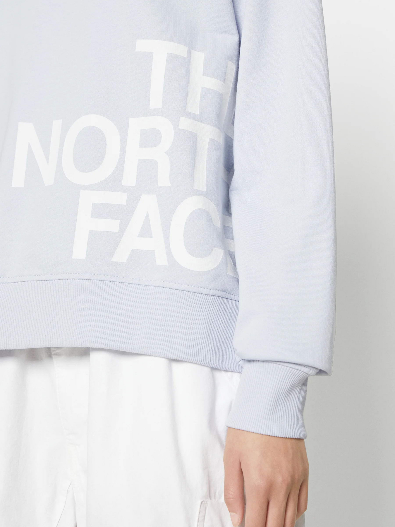 Свитшот The North Face Blown Up модель NF0A8545I0E1 Фото