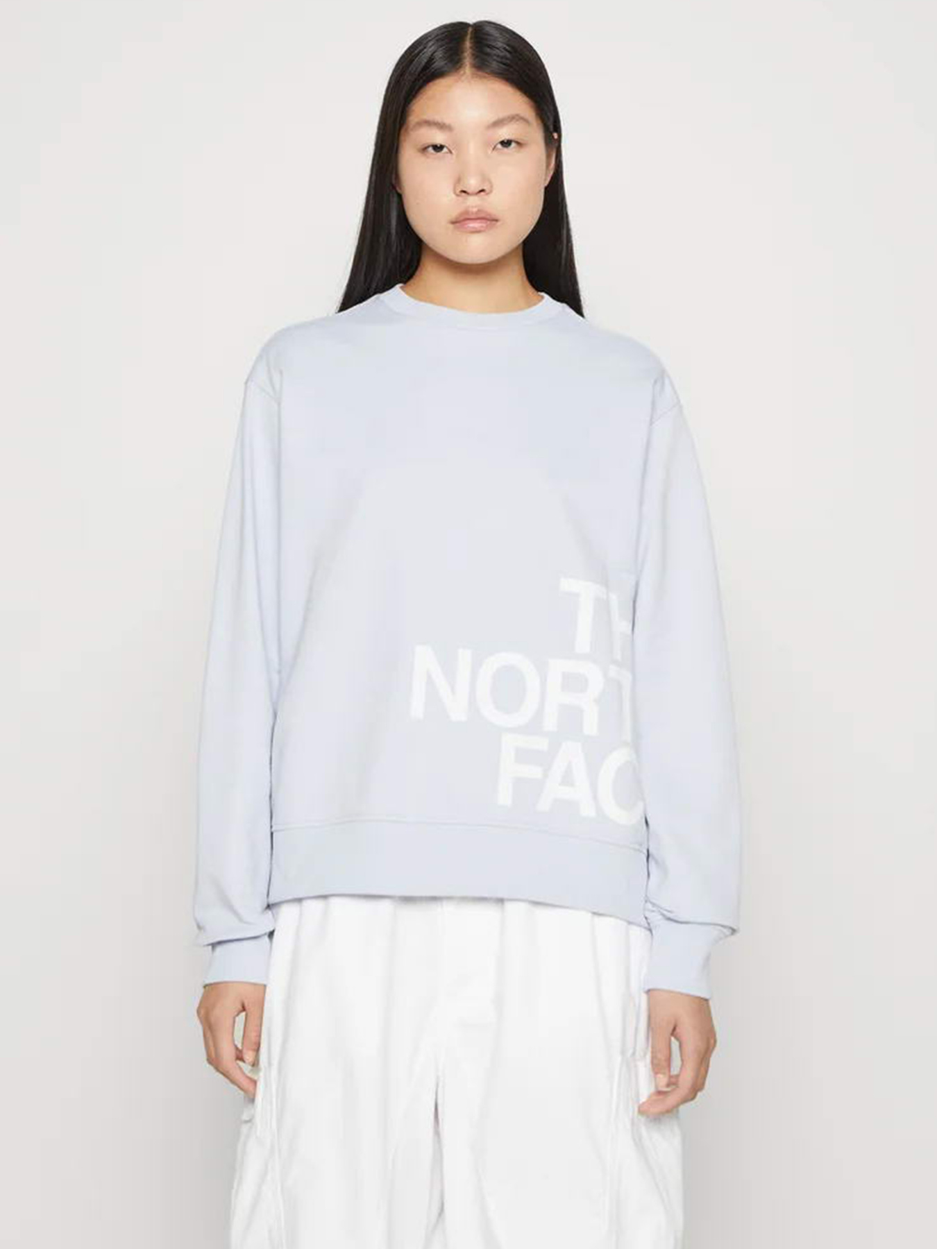 Свитшот The North Face Blown Up модель NF0A8545I0E1 Фото