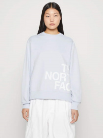 Свитшот The North Face Blown Up модель NF0A8545I0E1 Фото