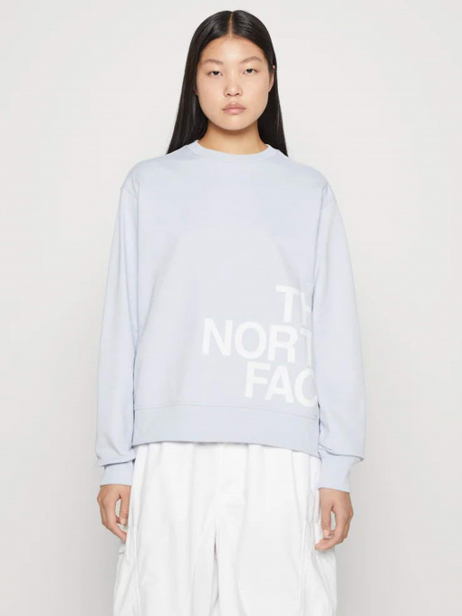 Свитшот The North Face Blown Up модель NF0A8545I0E1 Фото