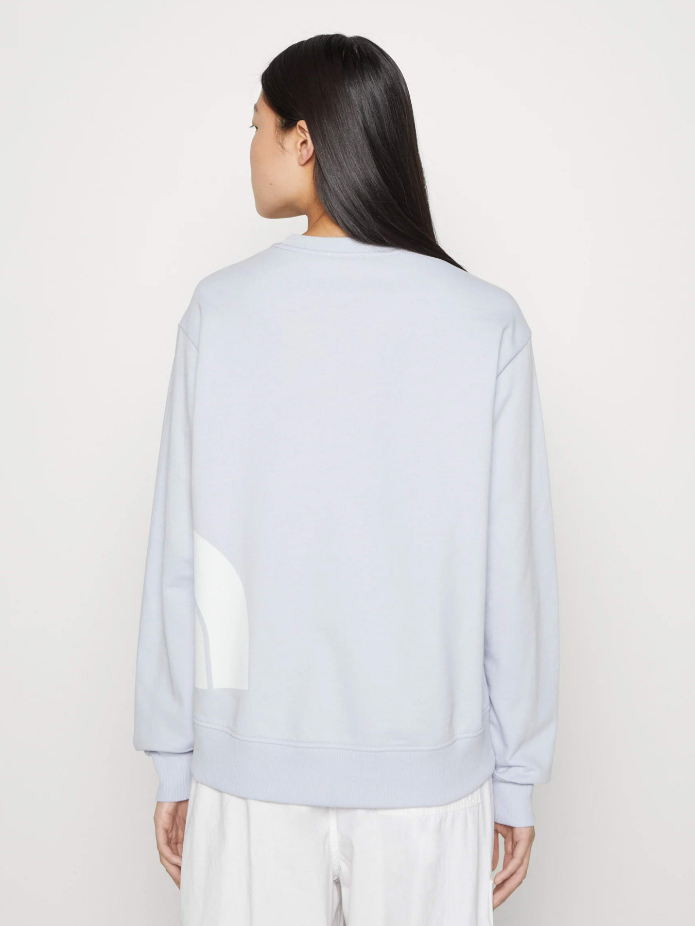 Свитшот The North Face Blown Up модель NF0A8545I0E1 Фото