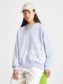 Свитшот The North Face Blown Up модель NF0A8545I0E1 Фото