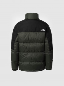 Пуховик The North Face DIABLO модель NF0A4SVKWTQ1 Фото