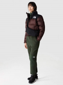 Зимняя куртка The North Face Retro Nuptse 1996 модель NF0A3XEOLOS1 Фото