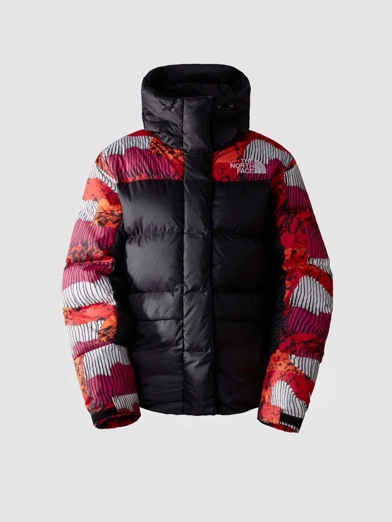 Зимова куртка The North Face Hmlyn Модель NF0A4R2WOT21 Фото