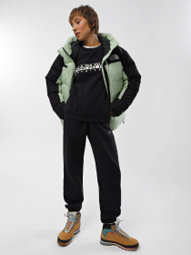 Пуховик The North Face Himalayan модель NF0A4R2WLGO1 Фото