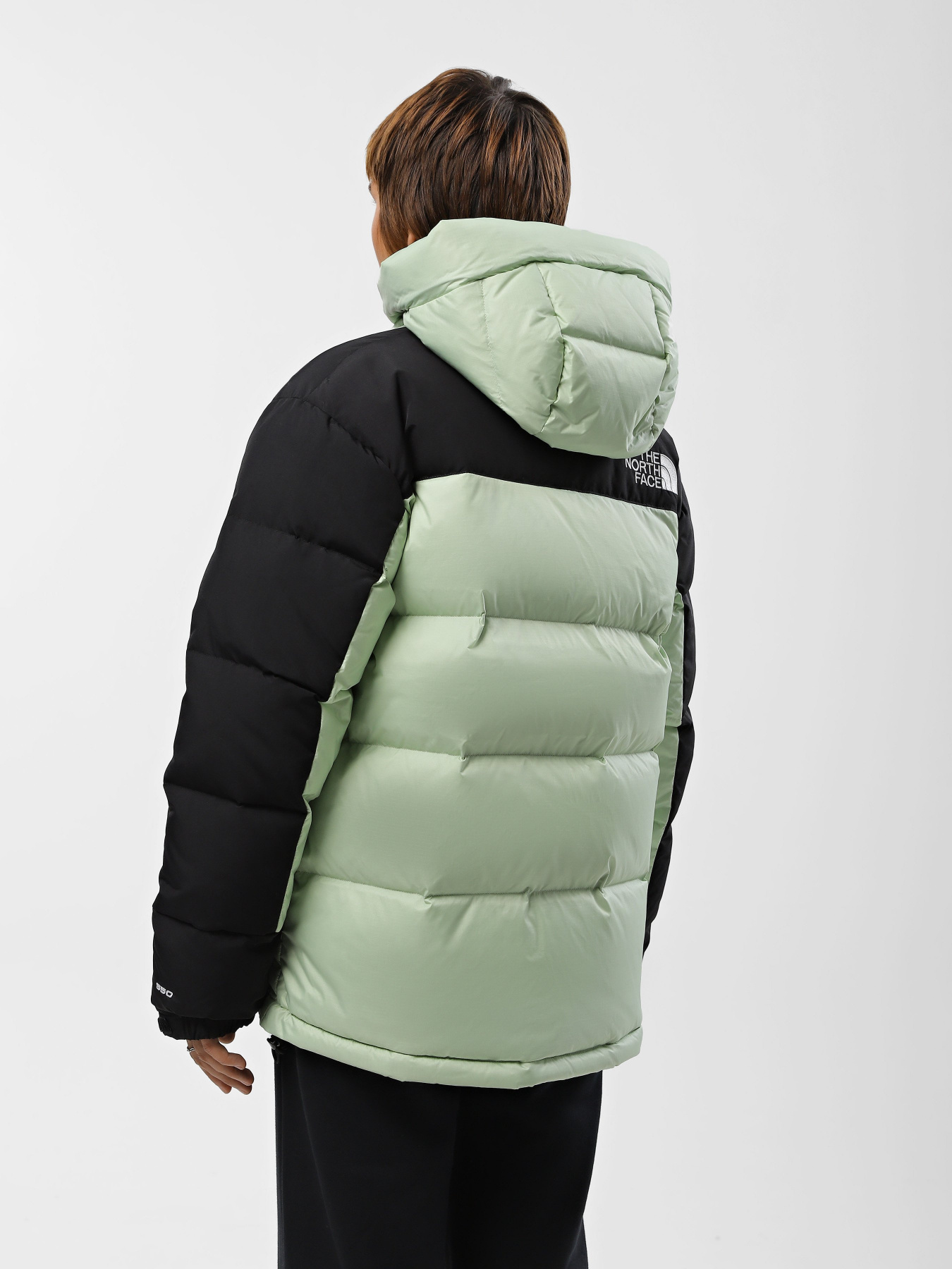 Пуховик The North Face Himalayan модель NF0A4R2WLGO1 Фото