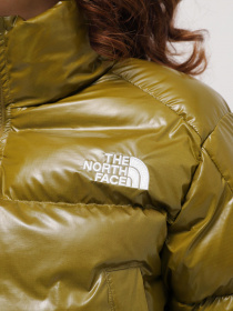 Демісезонна куртка The North Face Rusta 2.0 модель NF0A852LBEB1 Фото