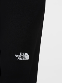 Повседневные штаны The North Face W AO Hiking Slim Straight Pant модель NF0A7Z8BJK31 Фото