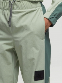 Штаны спортивные The North Face Shell модель NF0A852YKIH1 Фото