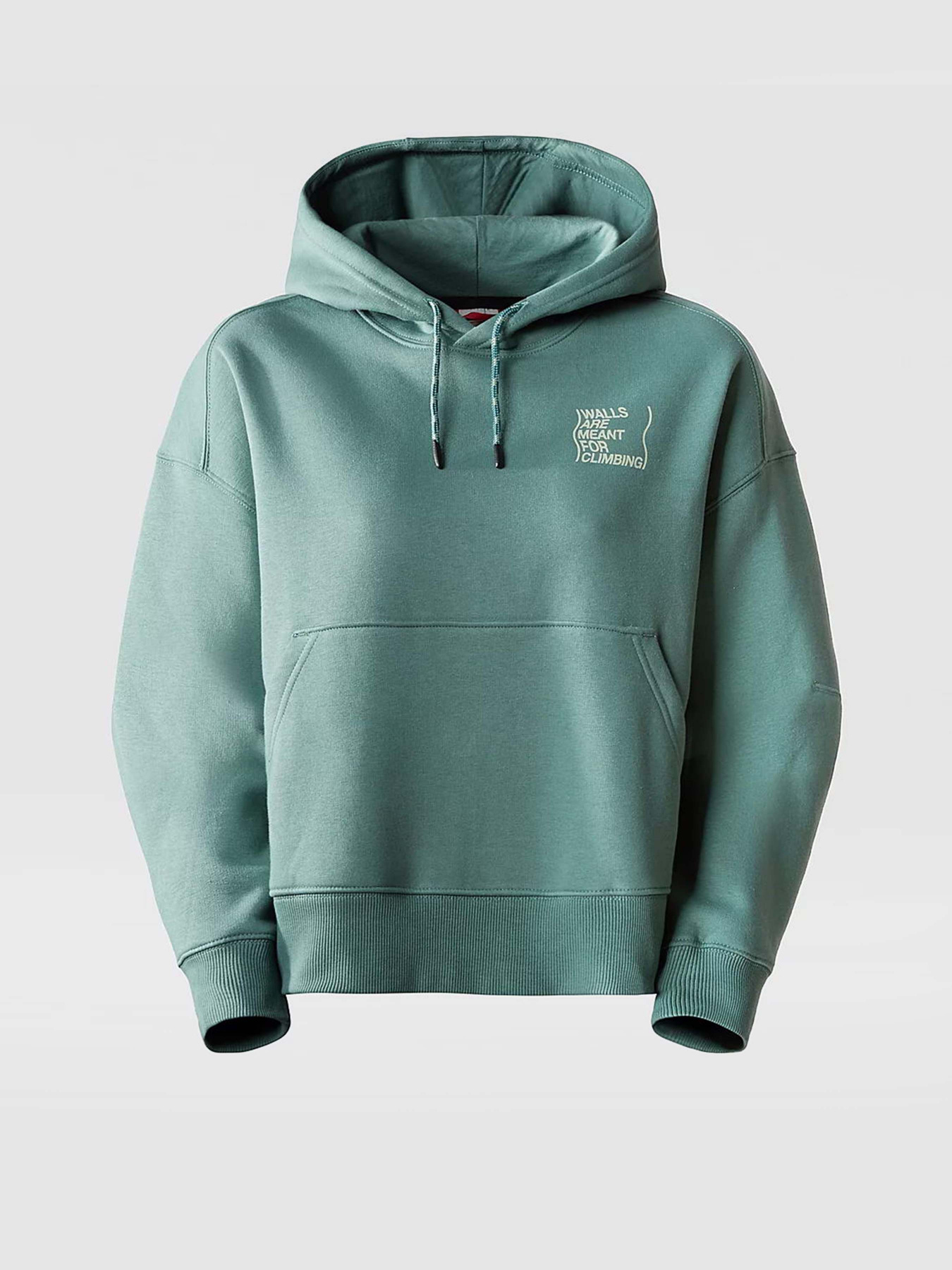 Худи The North Face Outdoor Graphic модель NF0A8525I0F1 Фото