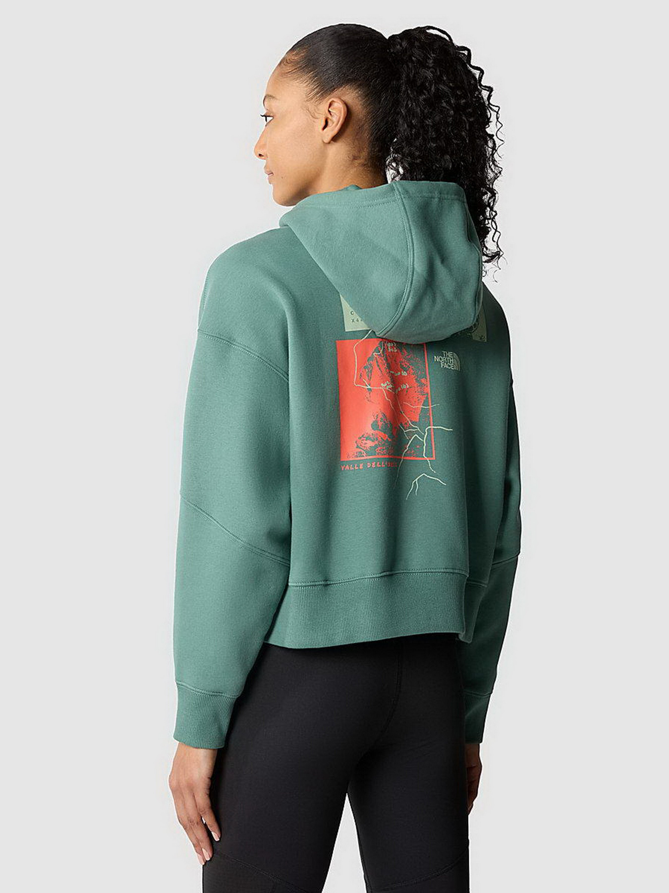 Худи The North Face Outdoor Graphic модель NF0A8525I0F1 Фото