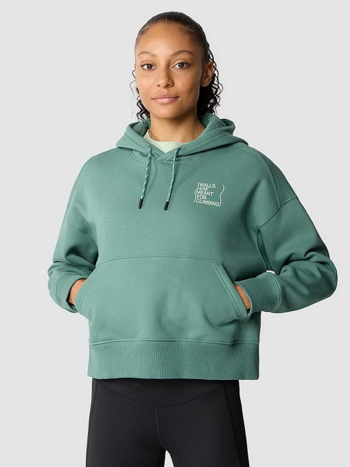 Худи The North Face Outdoor Graphic модель NF0A8525I0F1 Фото