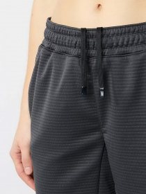 Штаны спортивные The North Face Mountain Athletics Fleece модель NF0A856BMN81 Фото