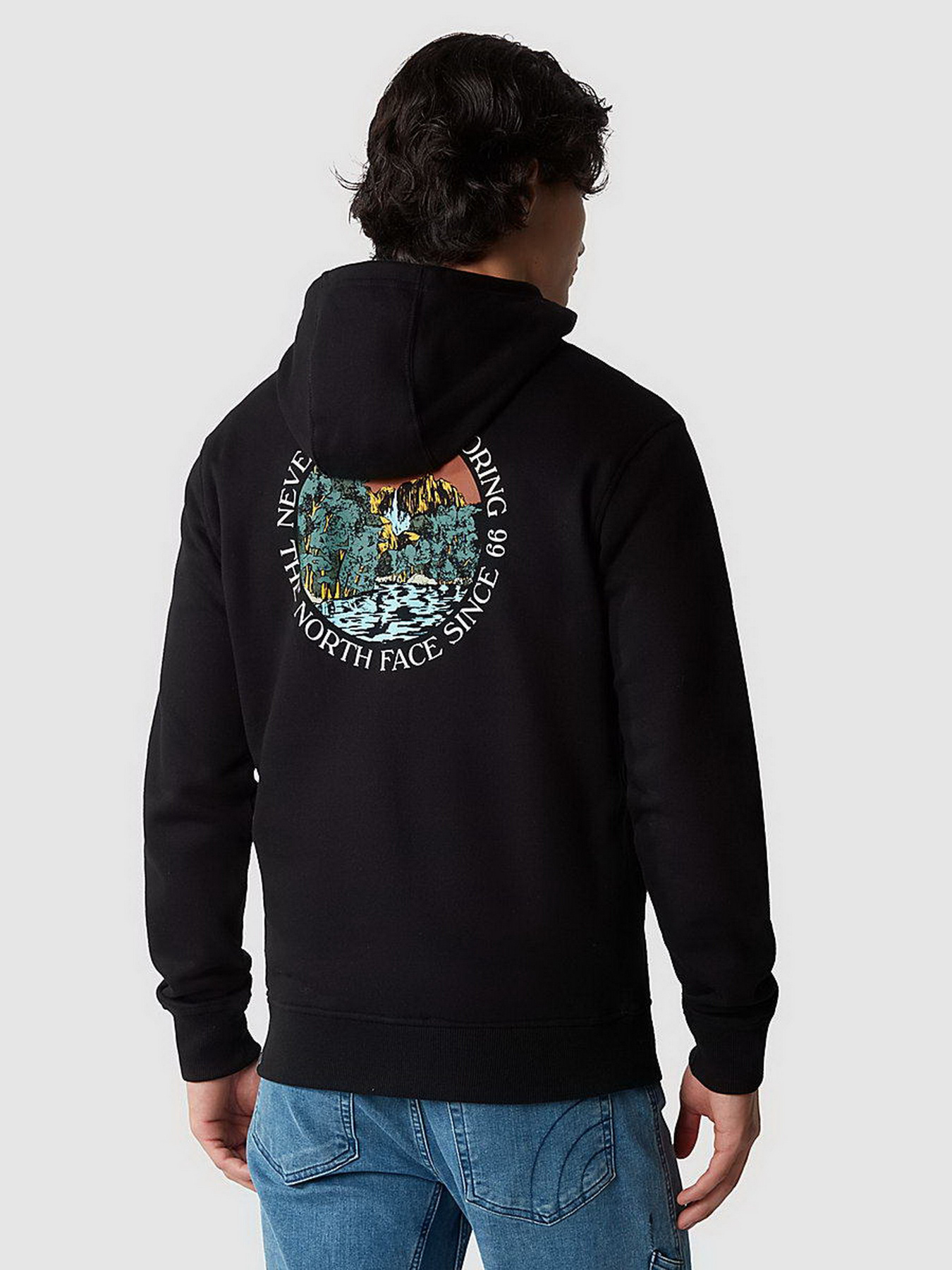 Худи The North Face Seasonal Graphic модель NF0A7X1PUW91 Фото