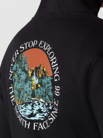 Худи The North Face Seasonal Graphic модель NF0A7X1PUW91 Фото
