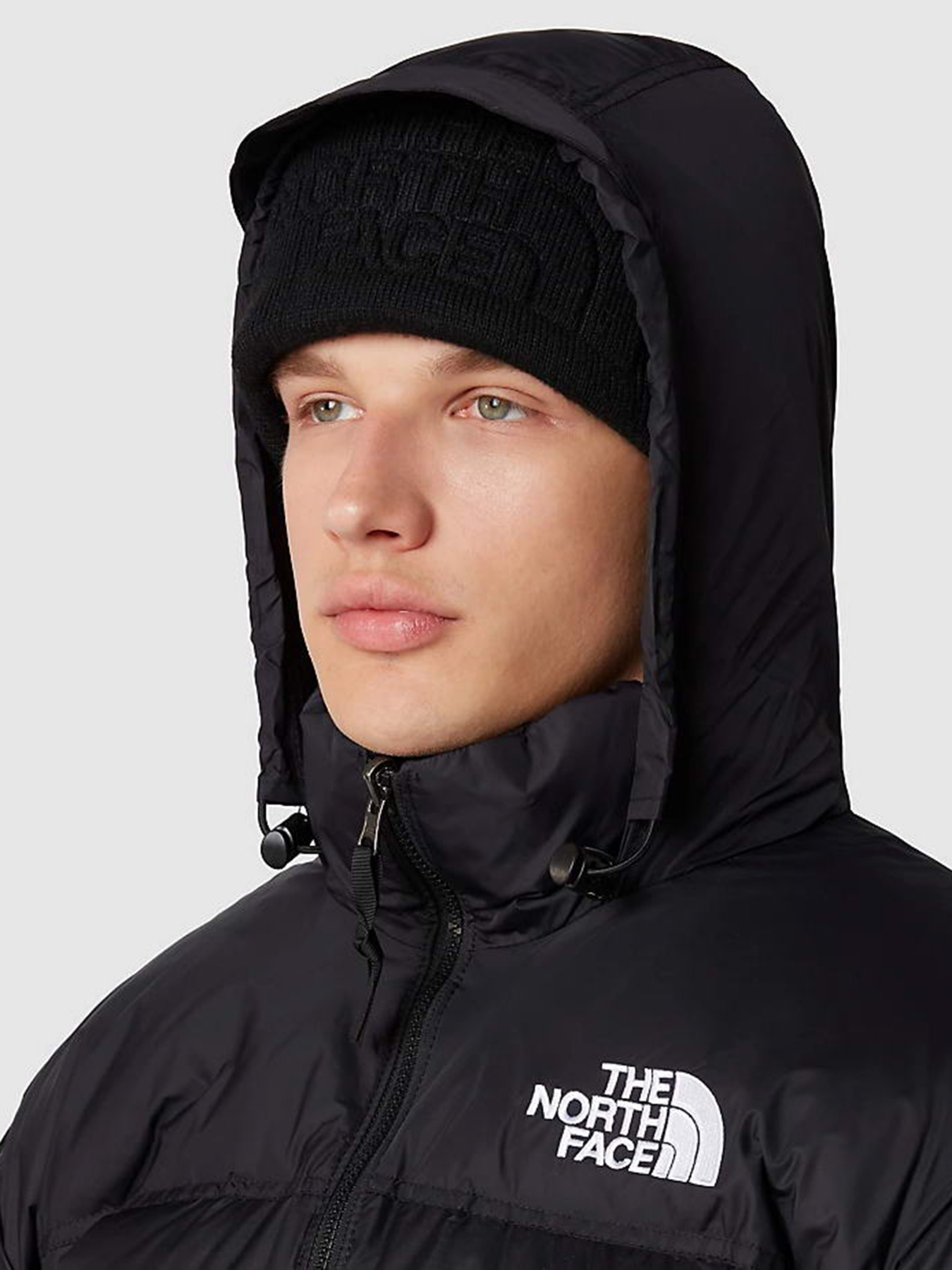 Зимова куртка The North Face 1996 Nuptse модель NF0A3C8DLE41 Фото