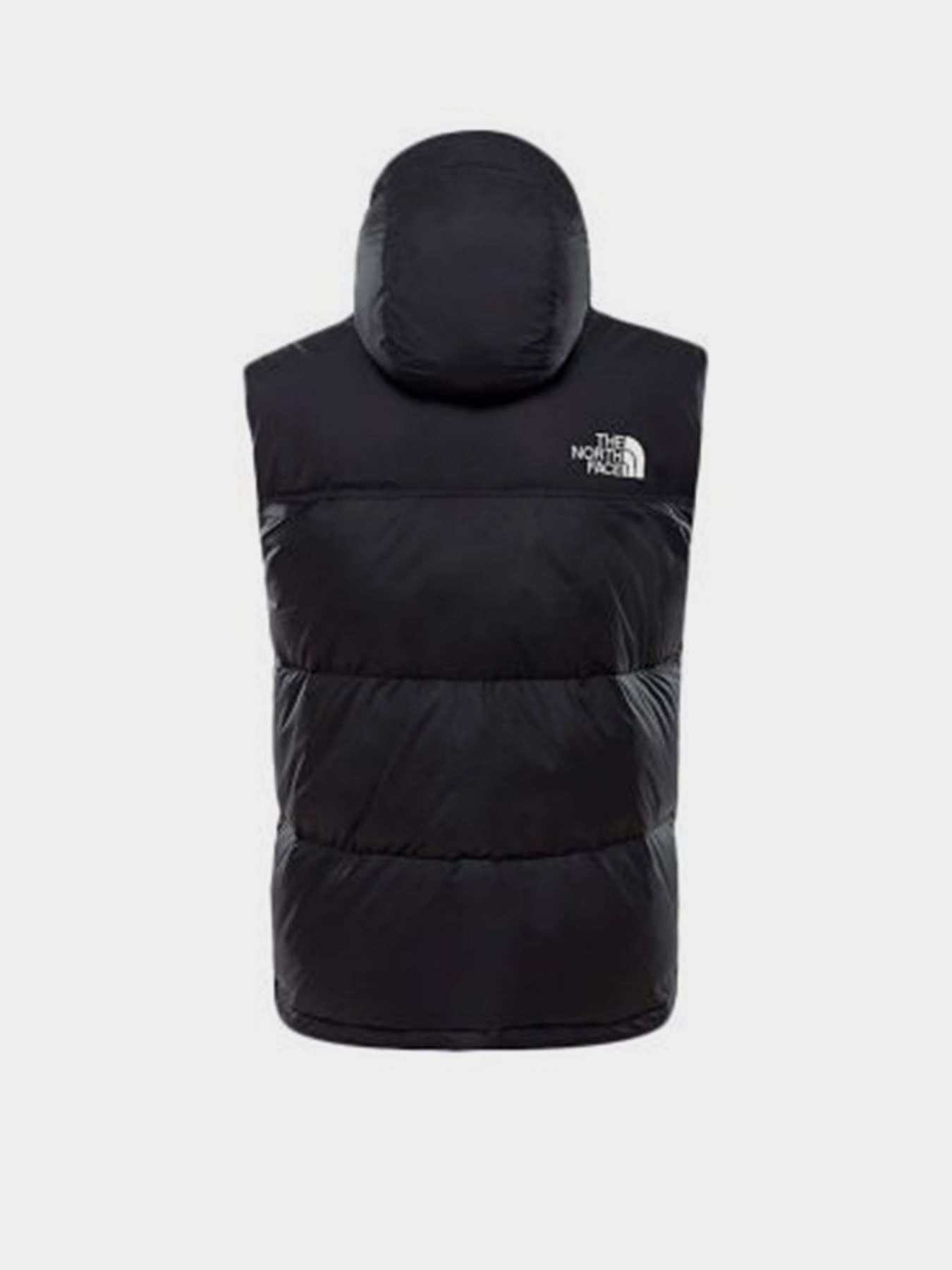 Утепленный жилет The North Face 1996 Retro Nuptse модель NF0A3JQQLE41 Фото