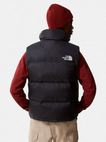 Утепленный жилет The North Face 1996 Retro Nuptse модель NF0A3JQQLE41 Фото