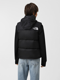 Жилет с утеплителем The North Face 1996 Retro Nuptse модель NF0A3XEPLE41 Фото