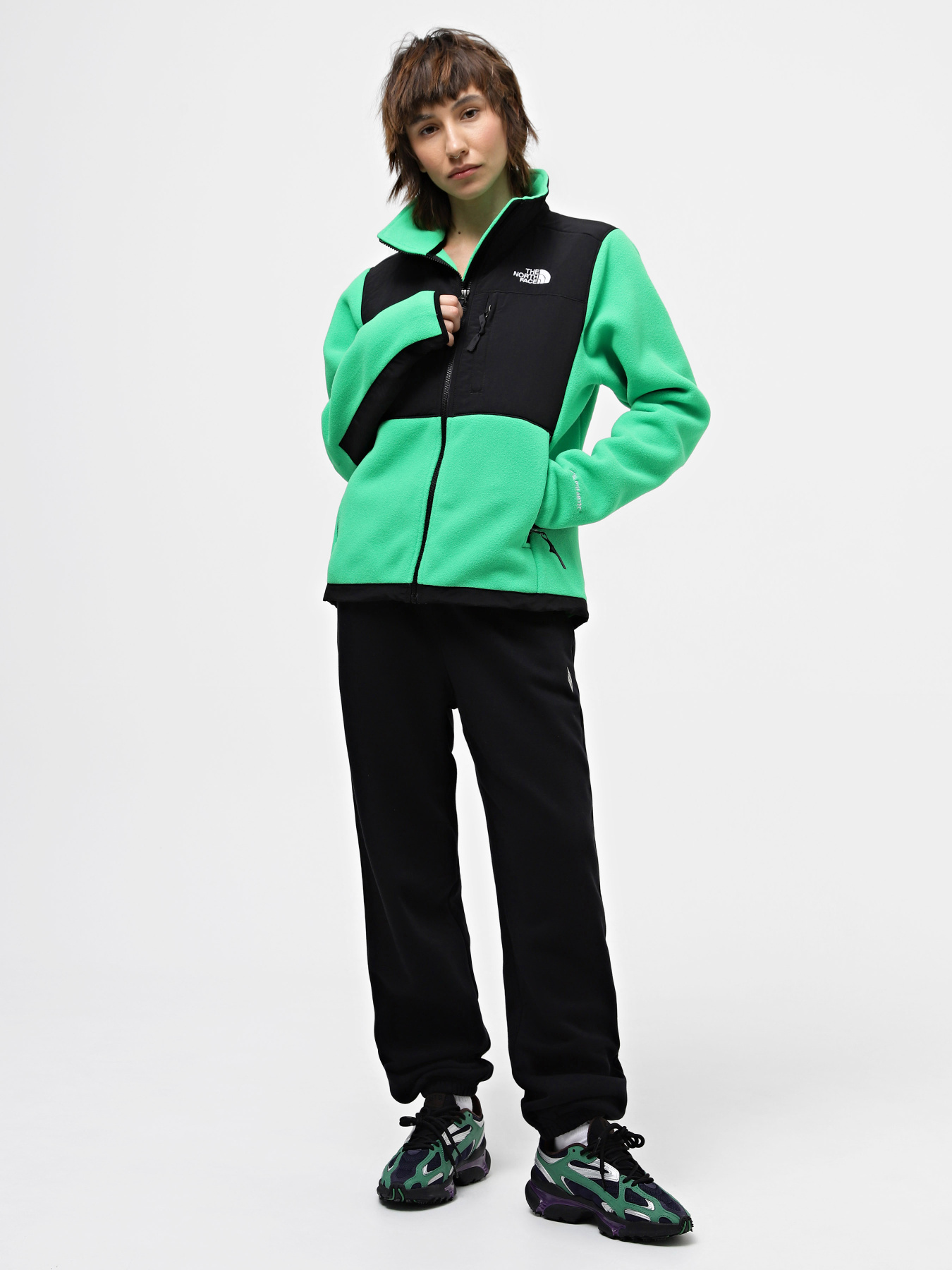 Кофта спортивна The North Face Denali Модель NF0A7UR6PO81 Фото