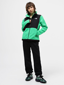 Кофта спортивна The North Face Denali Модель NF0A7UR6PO81 Фото