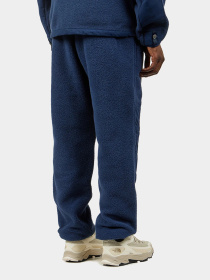 Штаны спортивные The North Face Ripstop Denali модель NF0A86ZV8K21 Фото