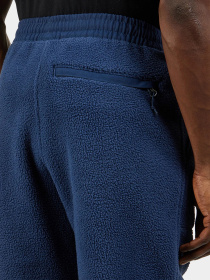 Штаны спортивные The North Face Ripstop Denali модель NF0A86ZV8K21 Фото