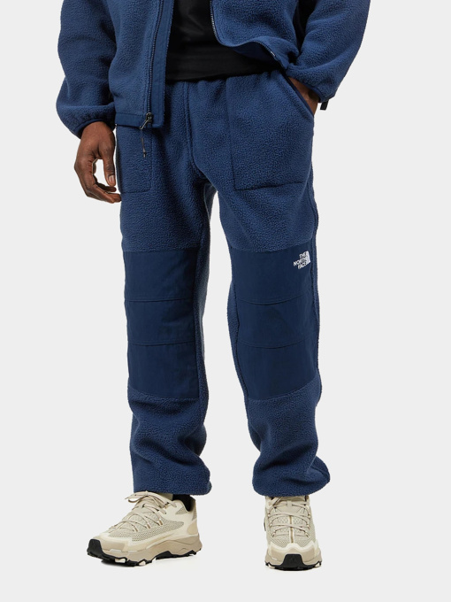 Спортивні штани The North Face Ripstop Denali модель NF0A86ZV8K21 Фото