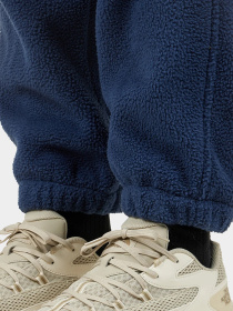 Штаны спортивные The North Face Ripstop Denali модель NF0A86ZV8K21 Фото