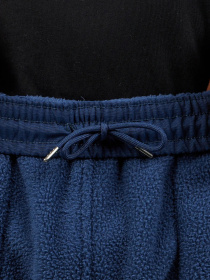 Штаны спортивные The North Face Ripstop Denali модель NF0A86ZV8K21 Фото