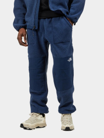 Штаны спортивные The North Face Ripstop Denali модель NF0A86ZV8K21 Фото