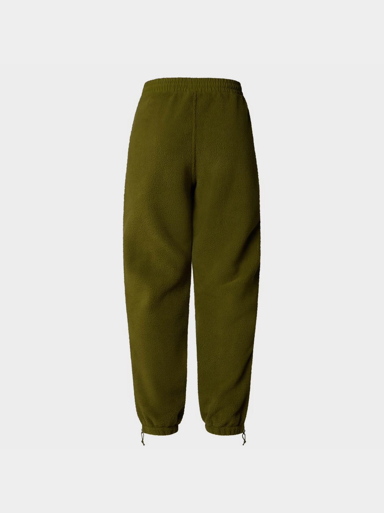 Спортивні штани The North Face W Ripstop Denali Pant модель NF0A870TPIB1 Фото