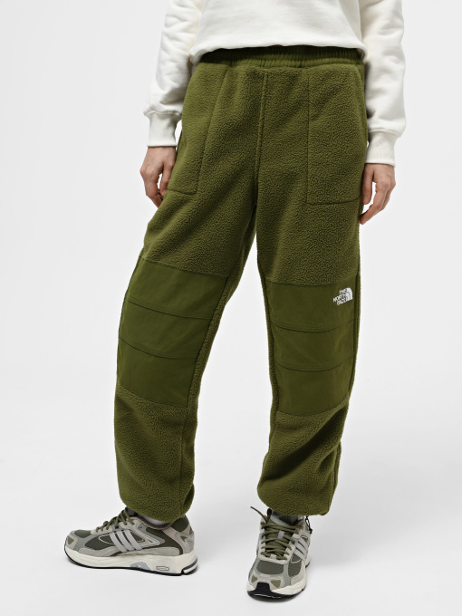 Штаны спортивные The North Face W Ripstop Denali Pant модель NF0A870TPIB1 Фото