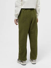 Спортивні штани The North Face W Ripstop Denali Pant модель NF0A870TPIB1 Фото