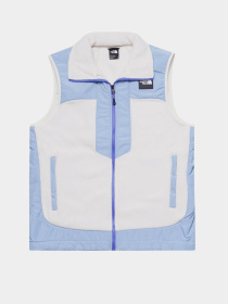 Жилет с утеплителем The North Face Fleeski Y2K Vest модель NF0A879KVID1 Фото