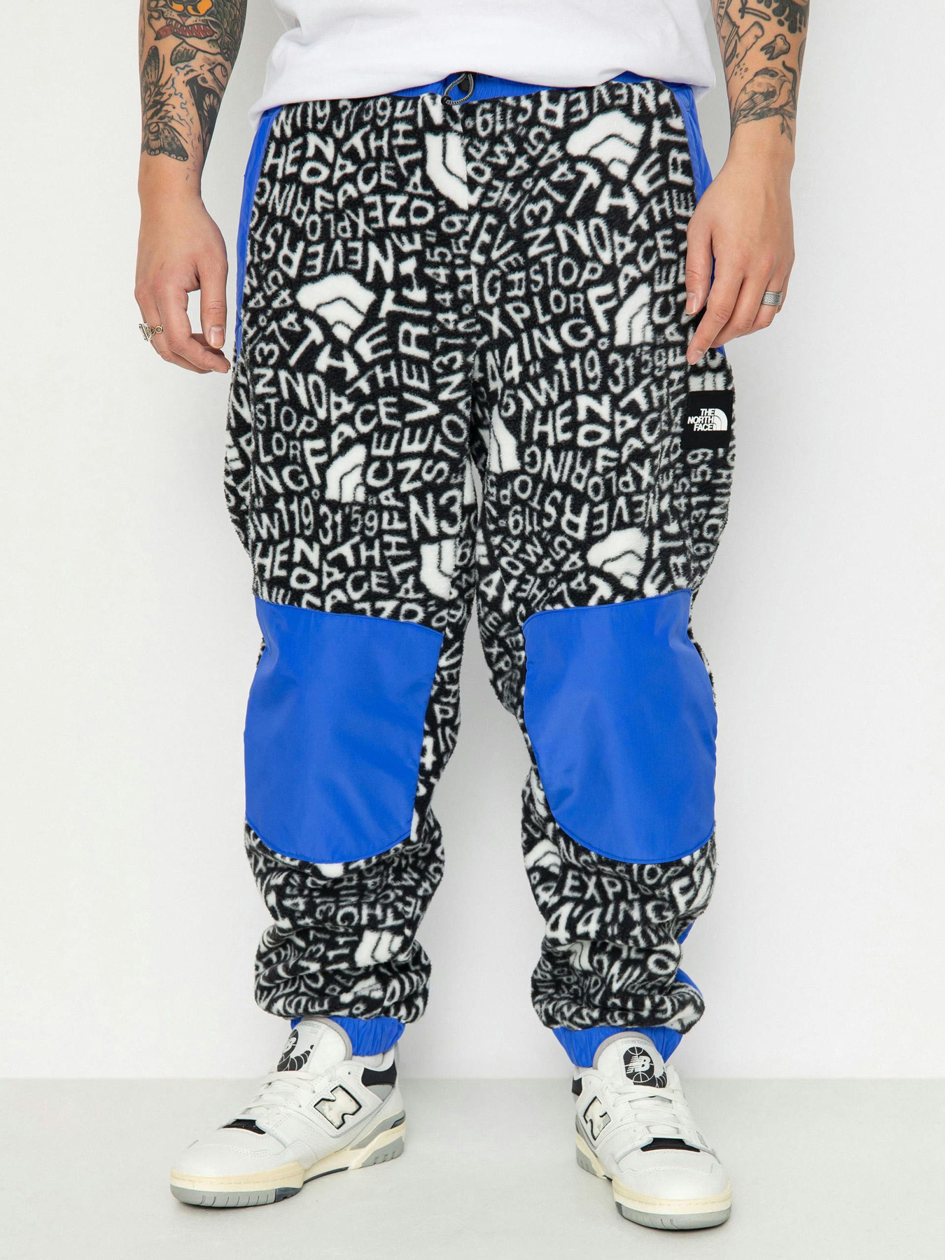 Спортивні штани The North Face M Fleeski Y2K модель NF0A887JU2O1 Фото