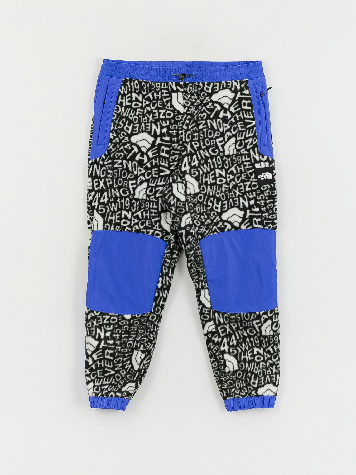 Спортивні штани The North Face M Fleeski Y2K модель NF0A887JU2O1 Фото