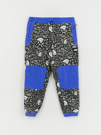 Спортивні штани The North Face M Fleeski Y2K модель NF0A887JU2O1 Фото