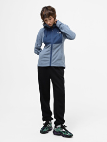 Кофта спортивна The North Face Homesafe Модель NF0A8567W9I1 Фото