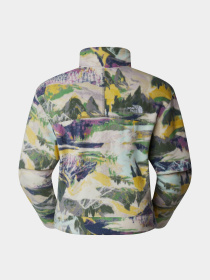 Кофта The North Face W 100 Glacier Printed Half Zip модель NF0A8593RZI1 Фото