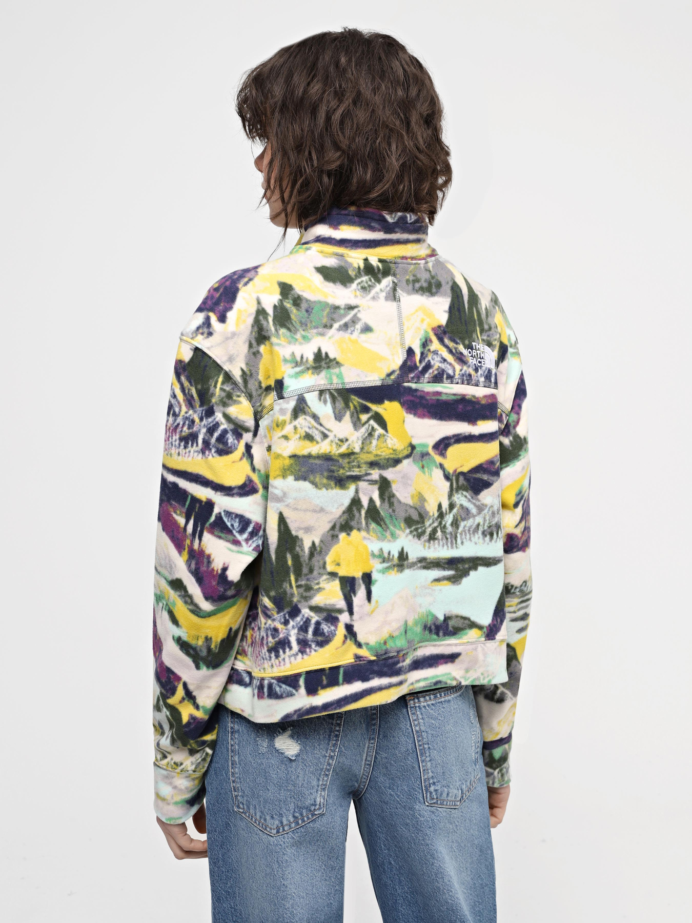 Кофта The North Face W 100 Glacier Printed Half Zip модель NF0A8593RZI1 Фото