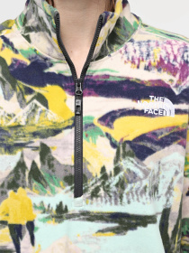 Кофта The North Face W 100 Glacier Printed Half Zip модель NF0A8593RZI1 Фото