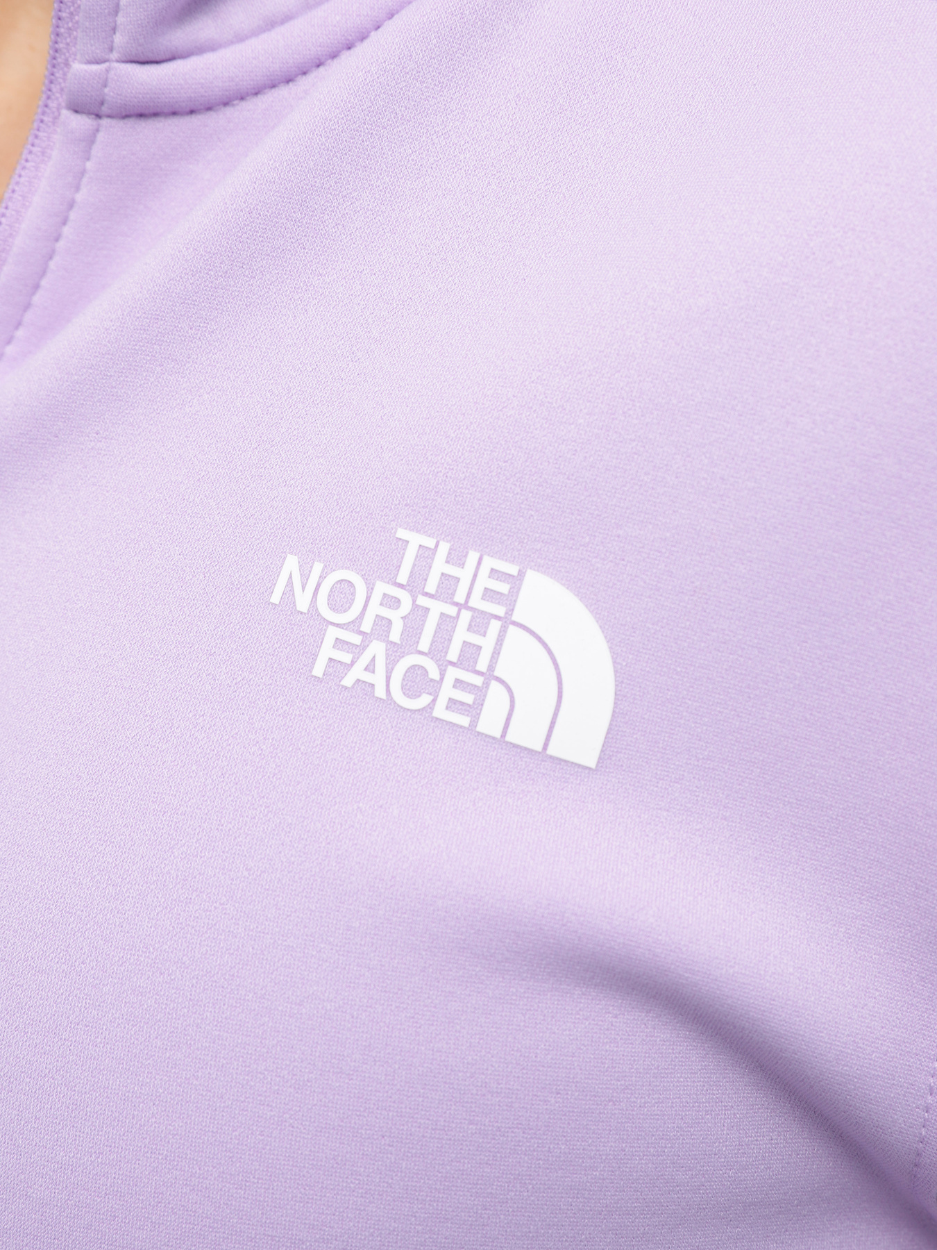 Кофта спортивная The North Face Mistyescape Fleece модель NF0A87HTWI21 Фото
