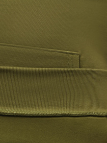 Худи The North Face M Raglan Redbox Hoodie - Eu модель NF0A2ZWUPIB1 Фото