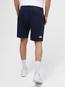 Шорты спортивные The North Face Standard модель NF0A3S4E8K21 Фото