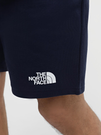 Шорты спортивные The North Face Standard модель NF0A3S4E8K21 Фото