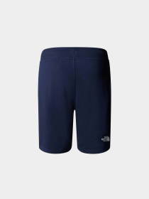 Шорты спортивные The North Face Standard модель NF0A3S4E8K21 Фото
