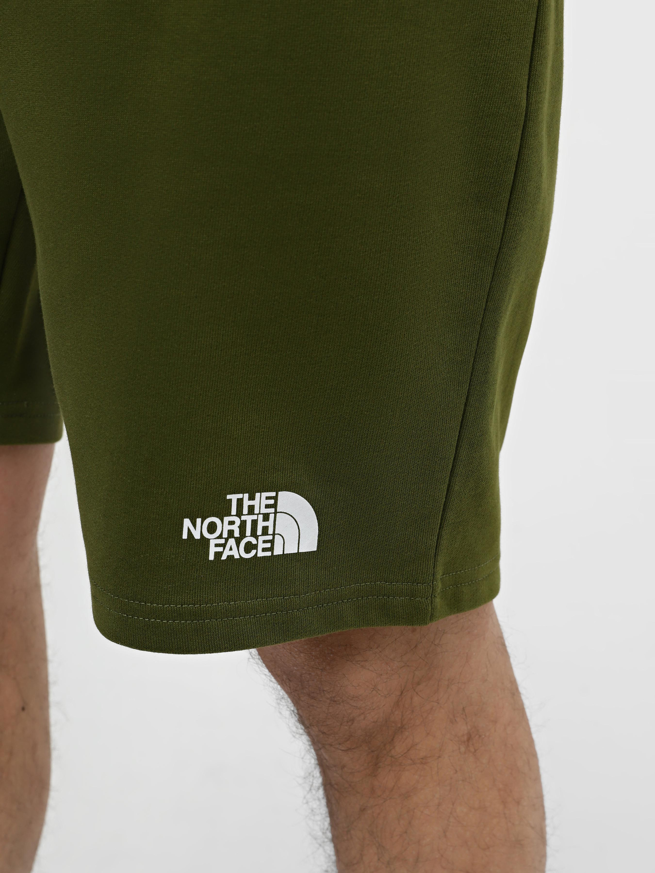 Шорты спортивные The North Face M Standard Short Light-Eu модель NF0A3S4EPIB1 Фото