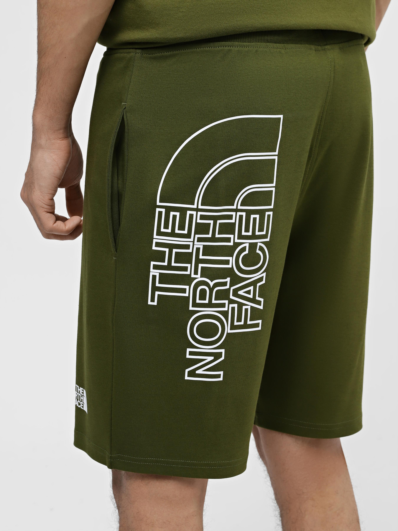 Спортивні шорти The North Face M Graphic Short Light-Eu модель NF0A3S4FPIB1 Фото